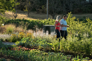 Gardening Class @ Brooks Wines | Amity | Oregon | United States