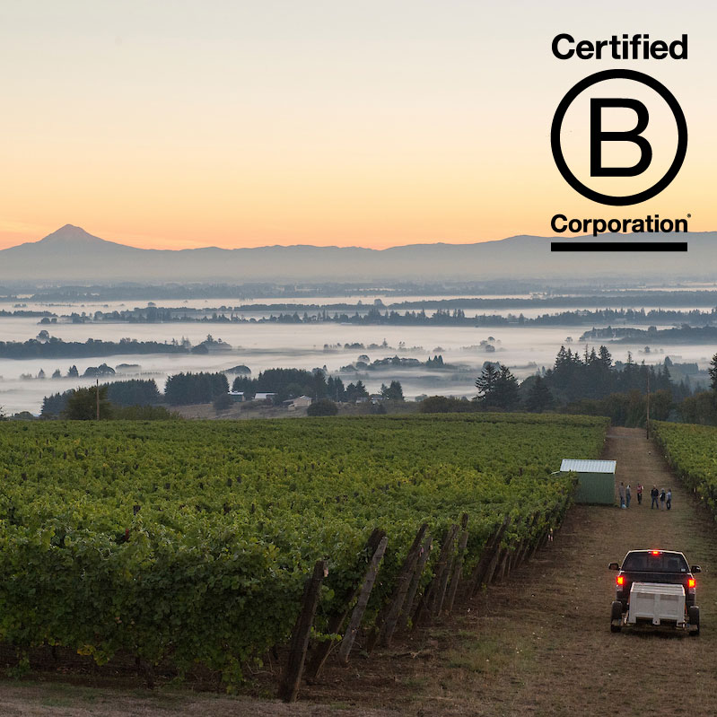 b-corp-square