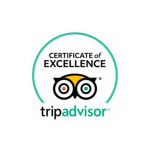 tripadvisor