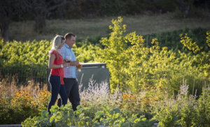 Brooks 201: Gardening Class & Brunch @ Brooks Wines | Amity | Oregon | United States