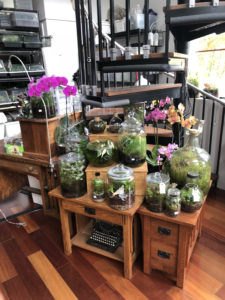 Terrarium Class @ Brooks Wines | Amity | Oregon | United States