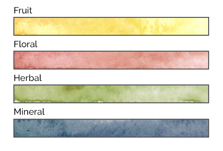 Scale_Pinot-1