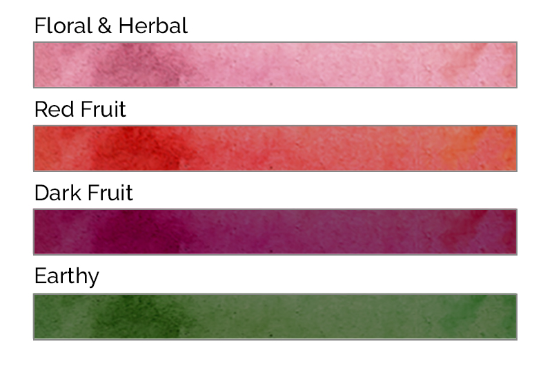 Scale_Pinot