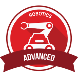 Robotics Advanced Camp "Task Bots"