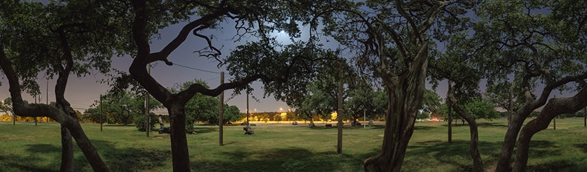 Under the Trees & Moonlight Tower at Zilker Park, Austin TX