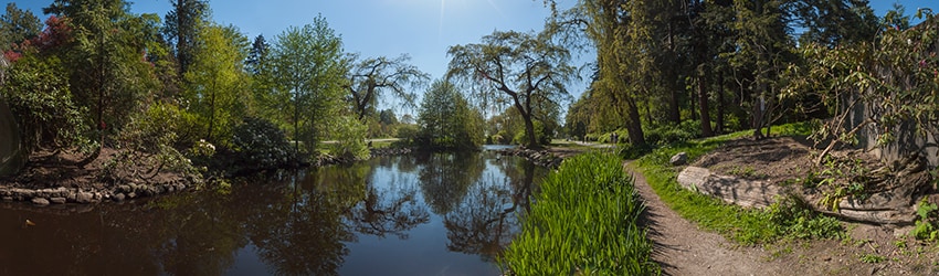Stanley Park, Vancouver BC, Canada