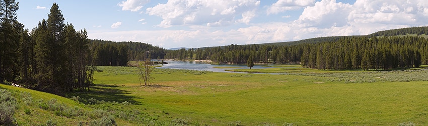 Yellowstone National Park WY