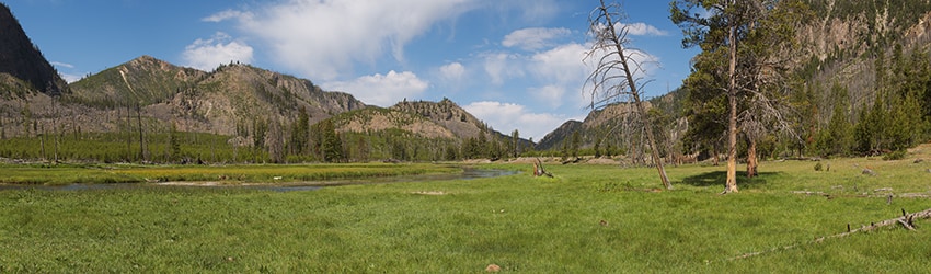 Yellowstone National Park WY