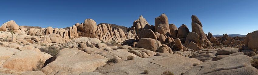 Joshua Tree National Park