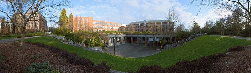 University of Washington Campus, Seattle WA