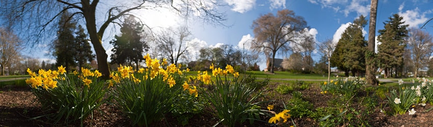 Roanoke Park, Seattle WA