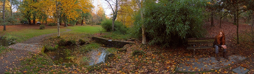 Mount Baker Park, Mount Baker, Seattle WA