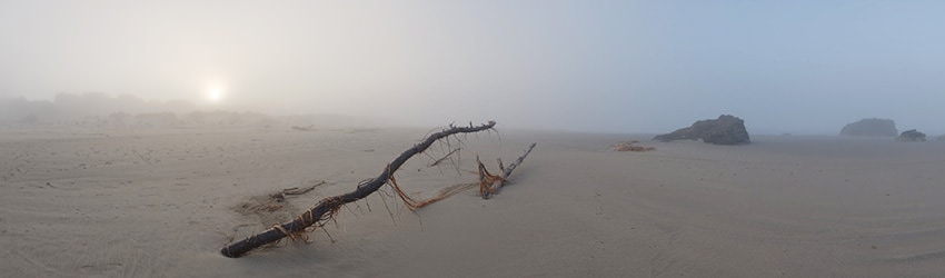 Foggy Morning at Face Rock Beach, Bandon OR