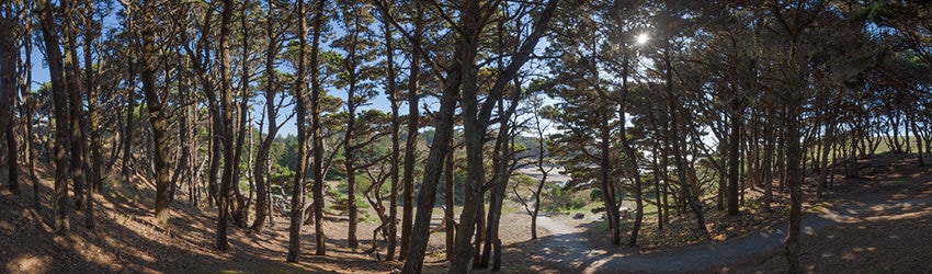 Path to Devil's Kitchen, Bandon OR