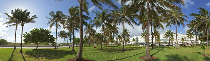 Lummus Park, South Beach, Miami Beach FL
