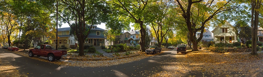 SE Maple & SE Holly, Ladds Addition, Portland OR