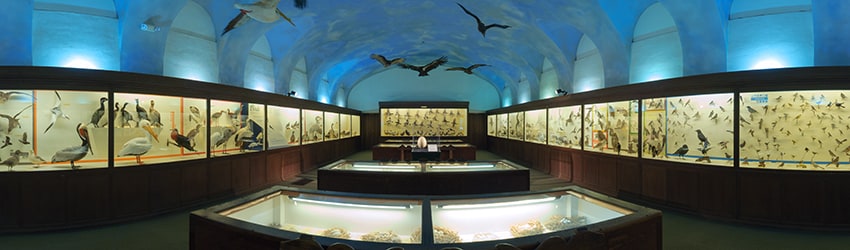 Santa Barbara Museum of Natural History (2002), Santa Barbara CA