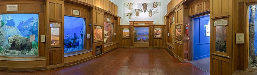 Santa Barbara Museum of Natural History (2002), Santa Barbara CA