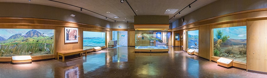 Santa Barbara Museum of Natural History (2002), Santa Barbara CA