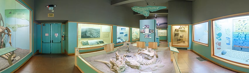 Santa Barbara Museum of Natural History (2002), Santa Barbara CA