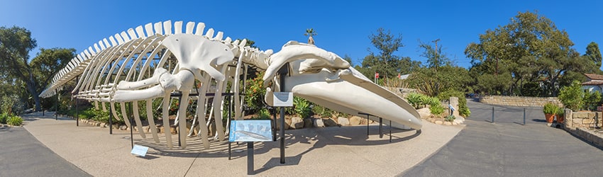 Santa Barbara Museum of Natural History (2002), Santa Barbara CA