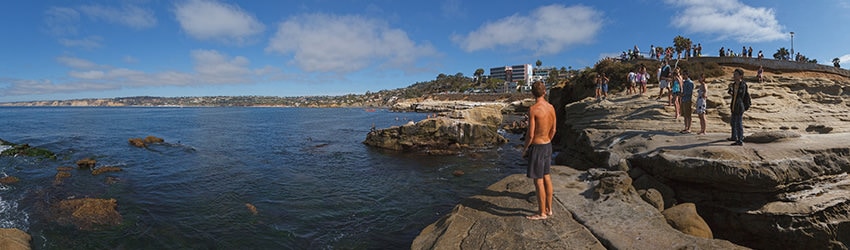 Scripps Park, La Jolla CA