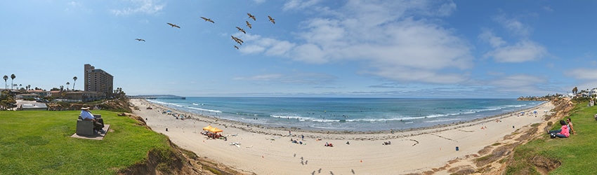 Pelicans Flying Over Palisades Park, Pacific Beach, San Diego, CA