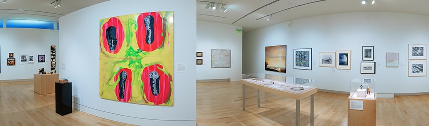 Gallery, Tacoma Art Museum, Tacoma WA