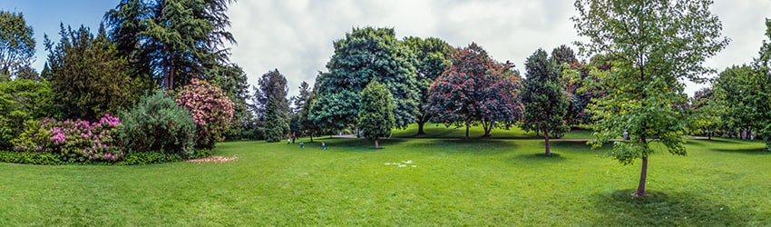 Carl S English Jr Botanical Garden, Ballard, Seattle WA
