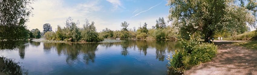 Washington Park Arboretum, Seattle WA