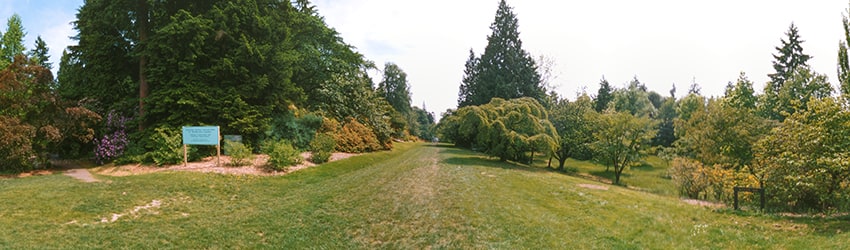 Azalea Way, Washington Park Arboretum, Seattle WA