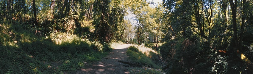Ravine Trail, Mercer Island WA