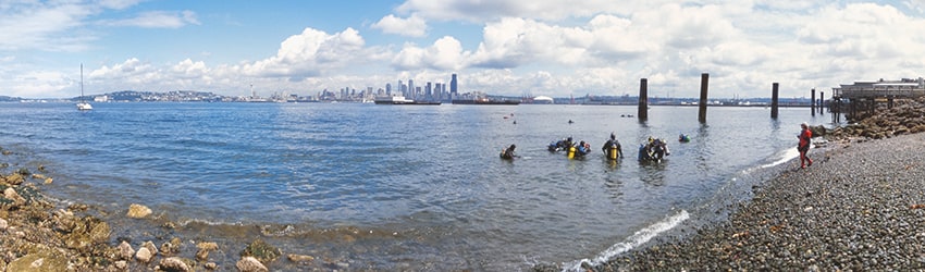 Seacrest Park Cove, West Seattle WA