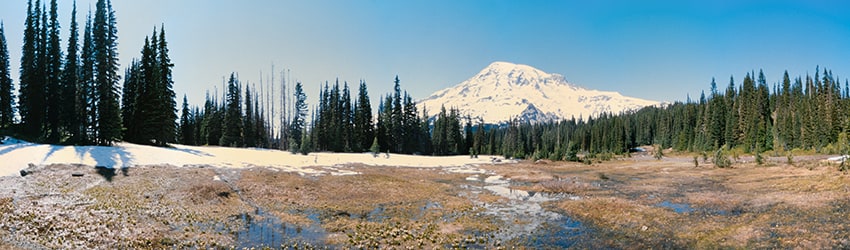 Mt Rainier National Park, WA