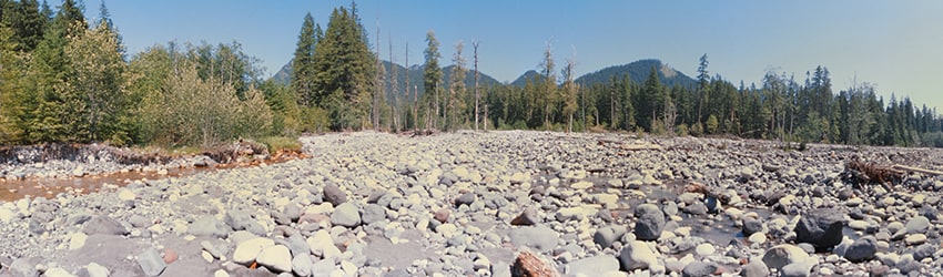 Mt Rainier National Park, WA