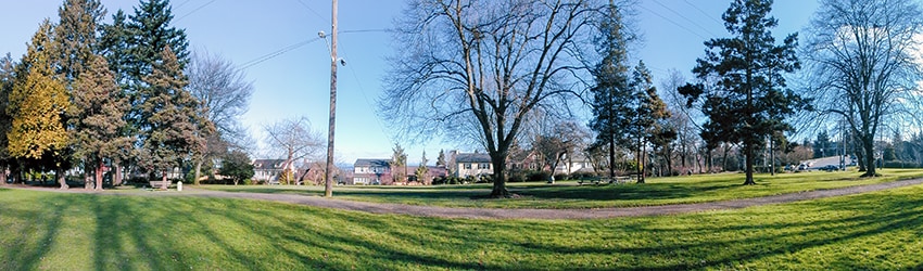 Roanoke Park, Capitol Hill, Seattle WA