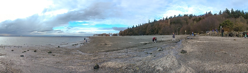 Golden Gardens, Ballard, Seattle WA