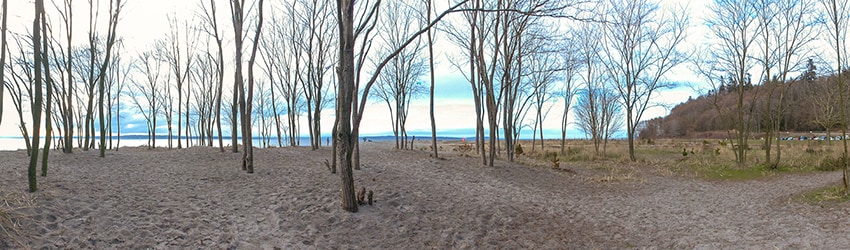 Golden Gardens, Ballard, Seattle WA