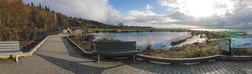 Golden Gardens, Ballard, Seattle WA