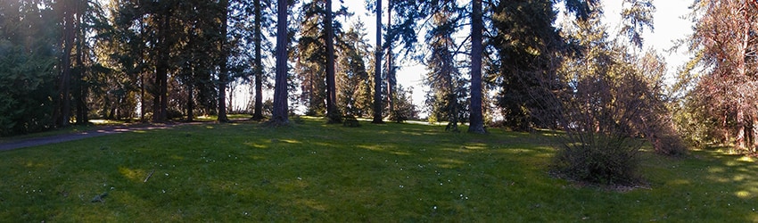 Lincoln Park, West Seattle WA