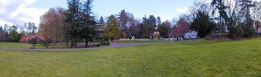 Cowen Park, Ravenna, Seattle WA