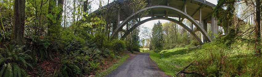 Ravenna Park, Ravenna, Seattle WA