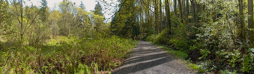Ravenna Park, Ravenna, Seattle WA
