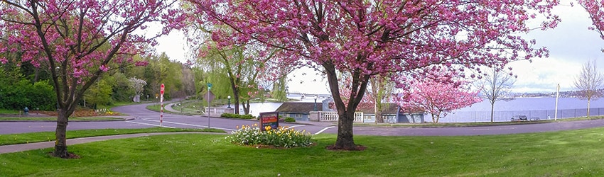 Lake Washington Blvd, Mount Baker, Seattle WA
