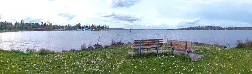 Tiny Point, Seward Park, Seattle WA