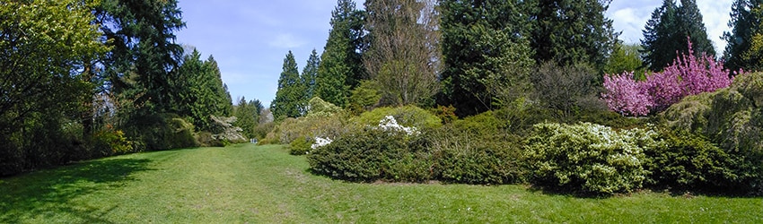 Washington Park Arboretum, Seattle WA