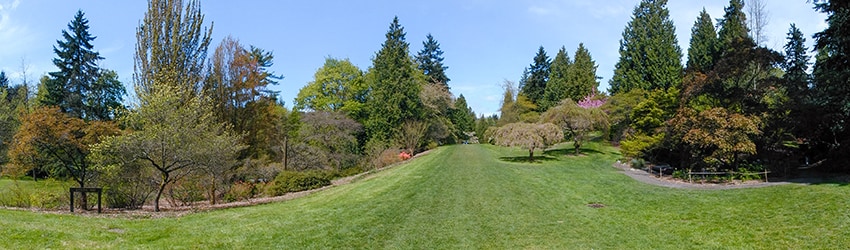 Washington Park Arboretum, Seattle WA