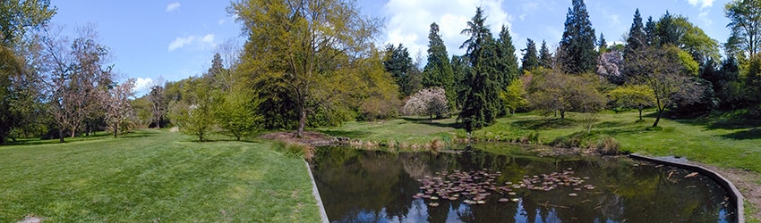 Washington Park Arboretum, Seattle WA