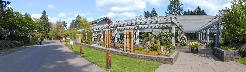 Washington Park Arboretum, Seattle WA
