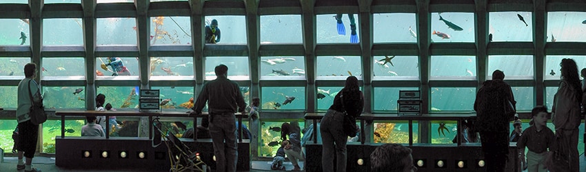 Seattle Aquarium, Seattle WA